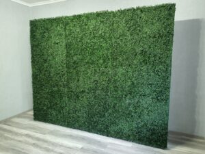 ścianka bukszpan