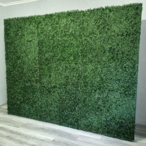 ścianka bukszpan ścianka bukszpan